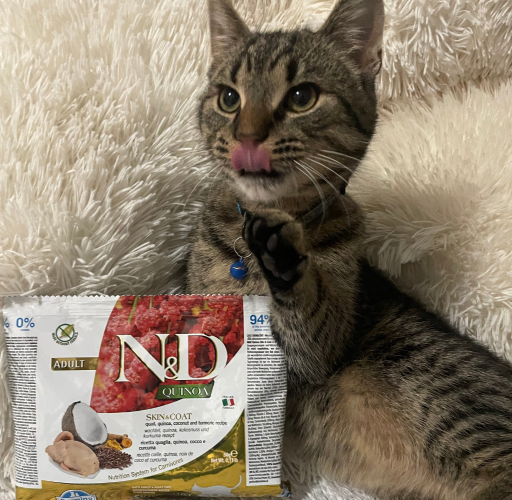 Mačka s balíčkom granúl N&D Quinoa Skin & Coat – vzorka pre dospelé mačky _ abovzoo.sk